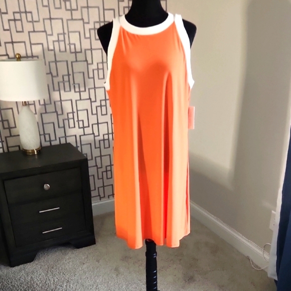 TASH + SOPHIE Colorblock Shift Dress - Picture 1 of 8